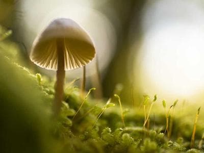 Uszczelka E-TPMGD/26